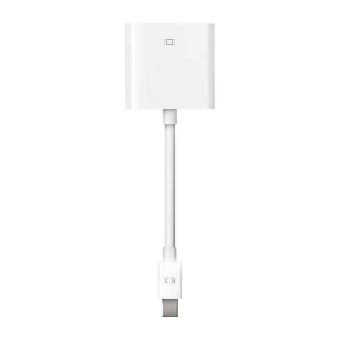 Mini DisplayPort naar DVI Display Adapter (A1305)