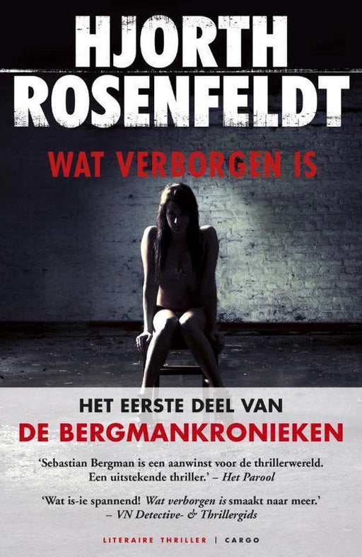 Boek Bergmankronieken 1 - Wat verborgen is