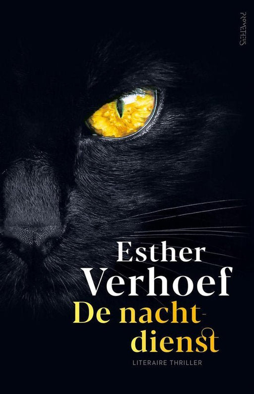 Boek De Nachtdienst