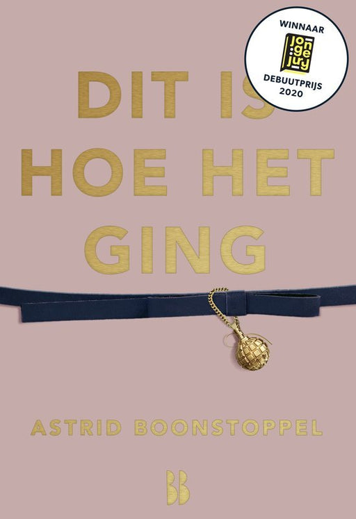 Boek Dit is hoe het ging