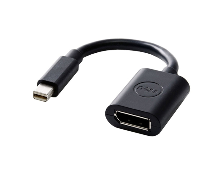 Mini DisplayPort naar DisplayPort Adapter (DAYANBC084)